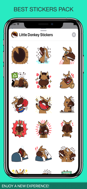 Little Donkey Stickers(圖4)-速報App