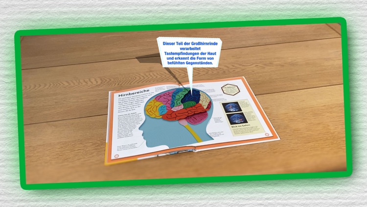 Mein genialer Körper 3D