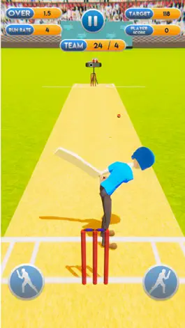 Game screenshot Cricket World Cup Mayhem 2019 hack