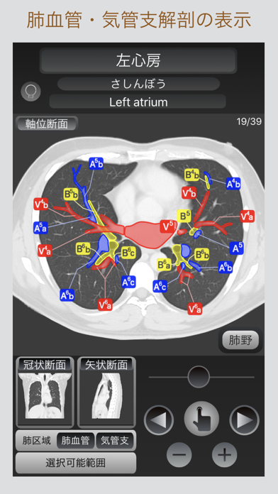 CT Passport 胸部スクリーンショット