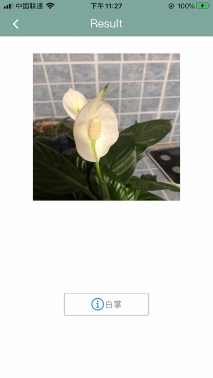 Plant Identification - 识花