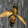 Bee Nest Simulator Full - iPadアプリ