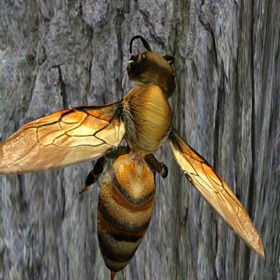 螢幕擷取畫面 (4) Bee Nest Simulator Full