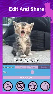 kitter: live cat pics iphone screenshot 1
