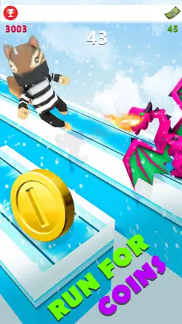 Game screenshot Sky Ice Surfer hack