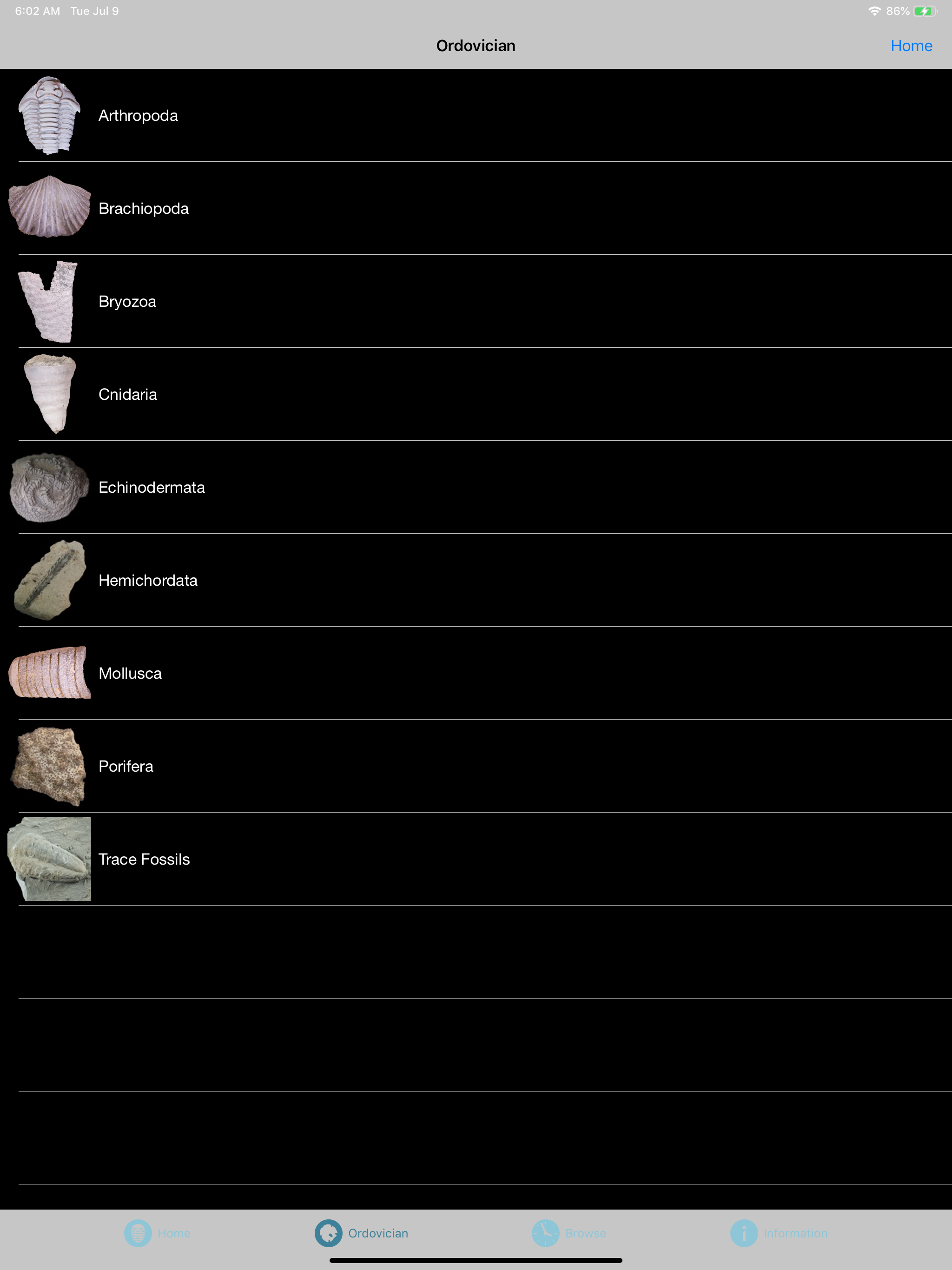Digital Atlas of Ancient Life
