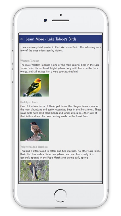 Tahoe Boating screenshot-5