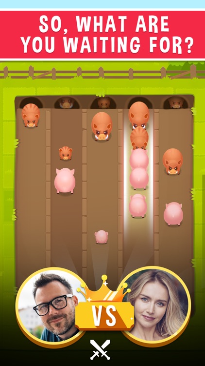 Piggy Fight - Online Game