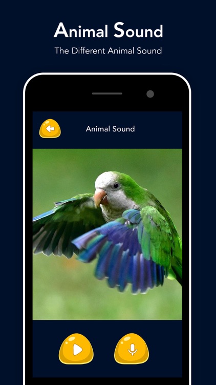 Animal Sound - Zoo Fun screenshot-5