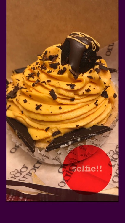 Selfie! Selfie! Cam screenshot-3