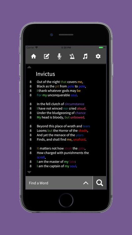 Lyric Notepad - Song Writing screenshot-4