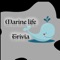 Marine Life Trivia consists of levels based on questions related to marine life, ocean and sea ecosystem, fishes, marine life biology and pollution-related issues