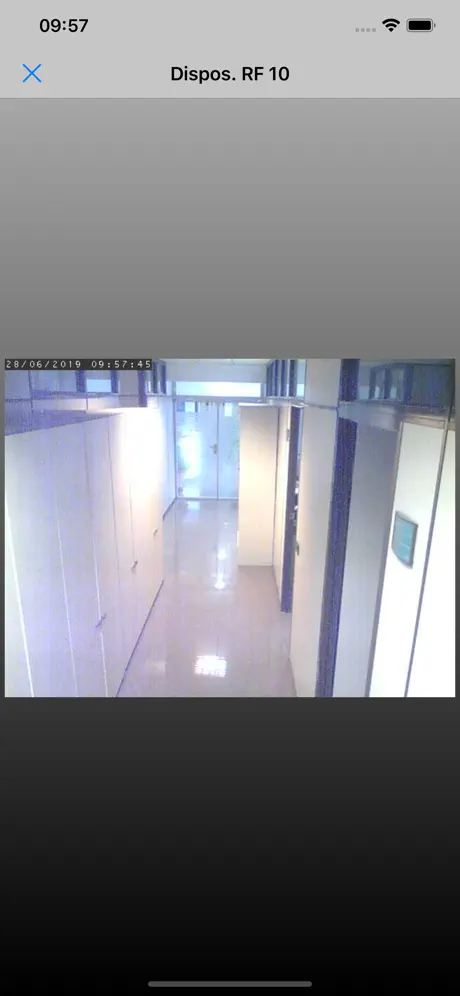ALPHA SECURITY