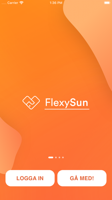 FlexySun Screenshot