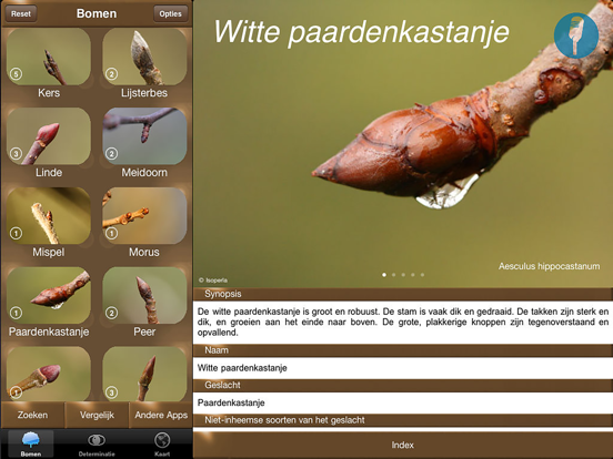 Winter Boom Id iPad app afbeelding 1