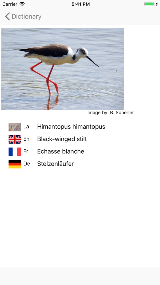 #5. European Birds Names Lite (iOS) 由: iThink Solutions