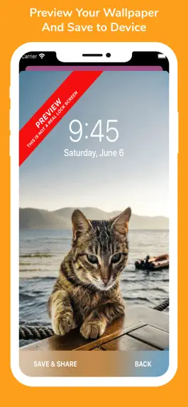 Game screenshot Cute Animal HD Wallpapers hack