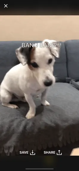 Game screenshot GIF ! hack