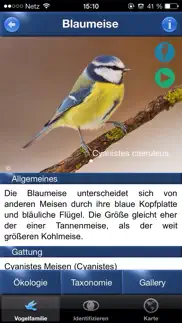 bird id - garden birds germany iphone screenshot 2