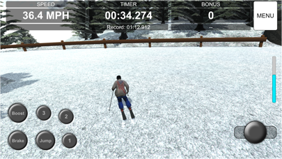 BSL Winter Games Challenge Screenshot