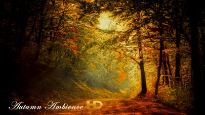 Autumn Ambience HD Screenshot