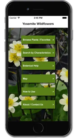 Game screenshot Yosemite Wildflowers apk