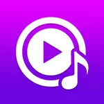 Add Music to Video Voice Over App Problems