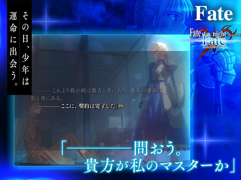 Fate/stay night [Realta Nua] screenshot 8