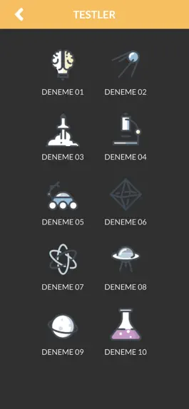 Game screenshot Bilsem Sınavı 1B apk