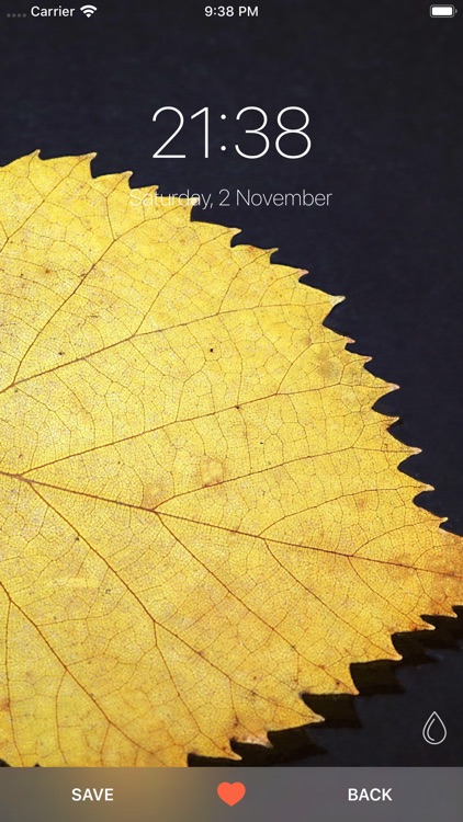 Live Wallpapers HD screenshot-4