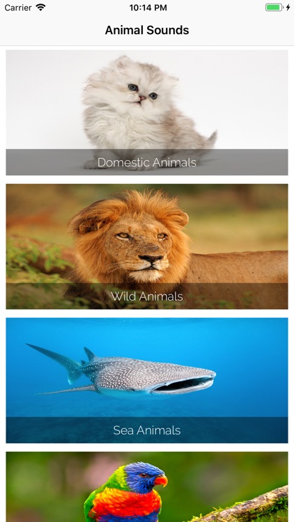 Animal Sounds and their Names