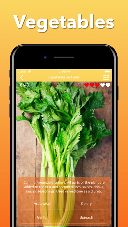 Fruits, Vegetables & Berries screenshot-4