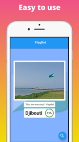 FlagBot - Flag Identification screenshot