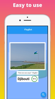 FlagBot - Flag Identification screenshot 1