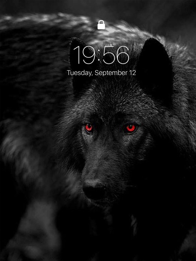 Black Wolf Wallpapers - Apps on Google Play