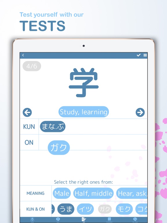 Kanji GO – Learn Japanese iPad screenshot 5 - Education app