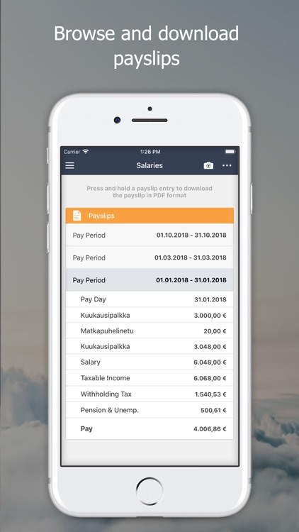 eFina Mobile screenshot-4
