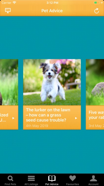 Pets4Homes screenshot-3