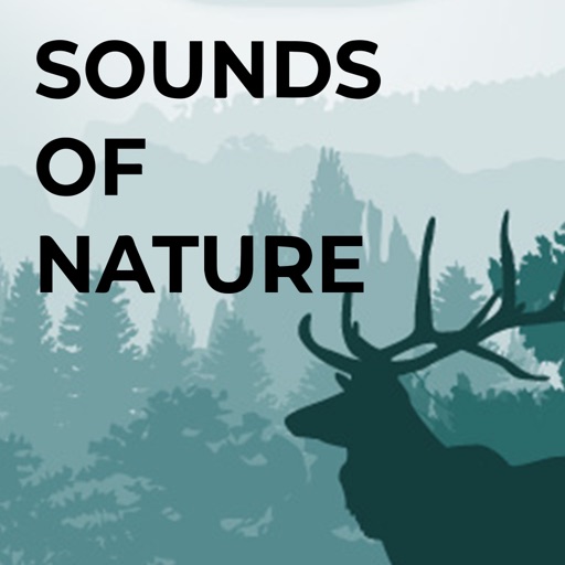 Nature Sounds for Relax