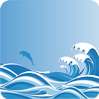 水产助手 sur PC