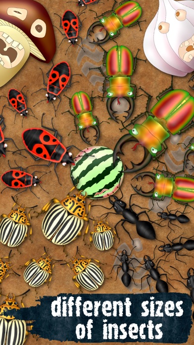 Bug Smasher - Ant Crusher screenshot 2