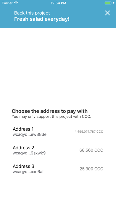 CodeChain Wallet screenshot 3