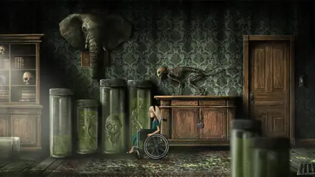 Lucid Dream Adventure