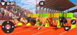 Game screenshot Борзая Собака Гонки Дерби mod apk