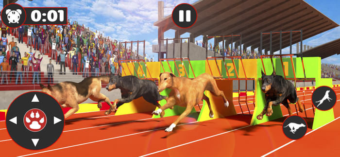 Greyhound Dog Racing Derby