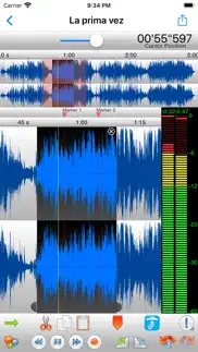 twistedwave audio editor iphone screenshot 1