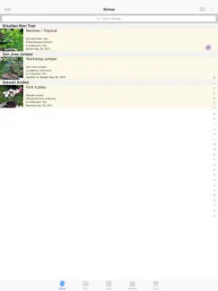 Bonsai Album Lite iPad image 1