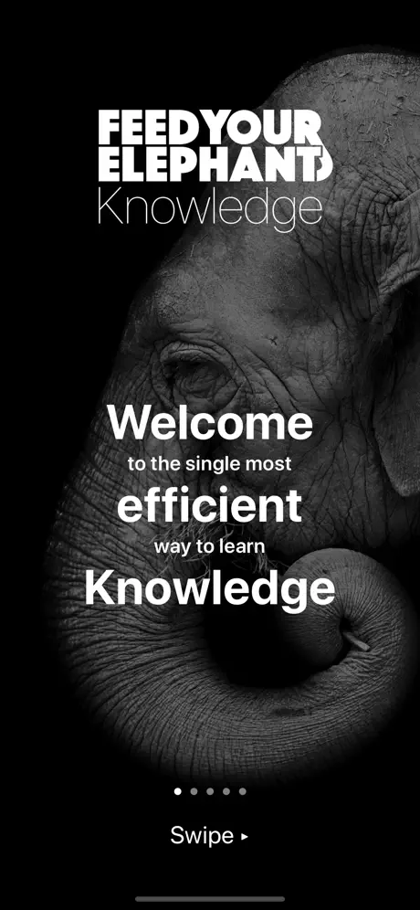 Feed Your Elephant Knowledge