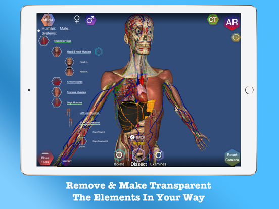 Screenshot #6 pour AR Anatomy ++