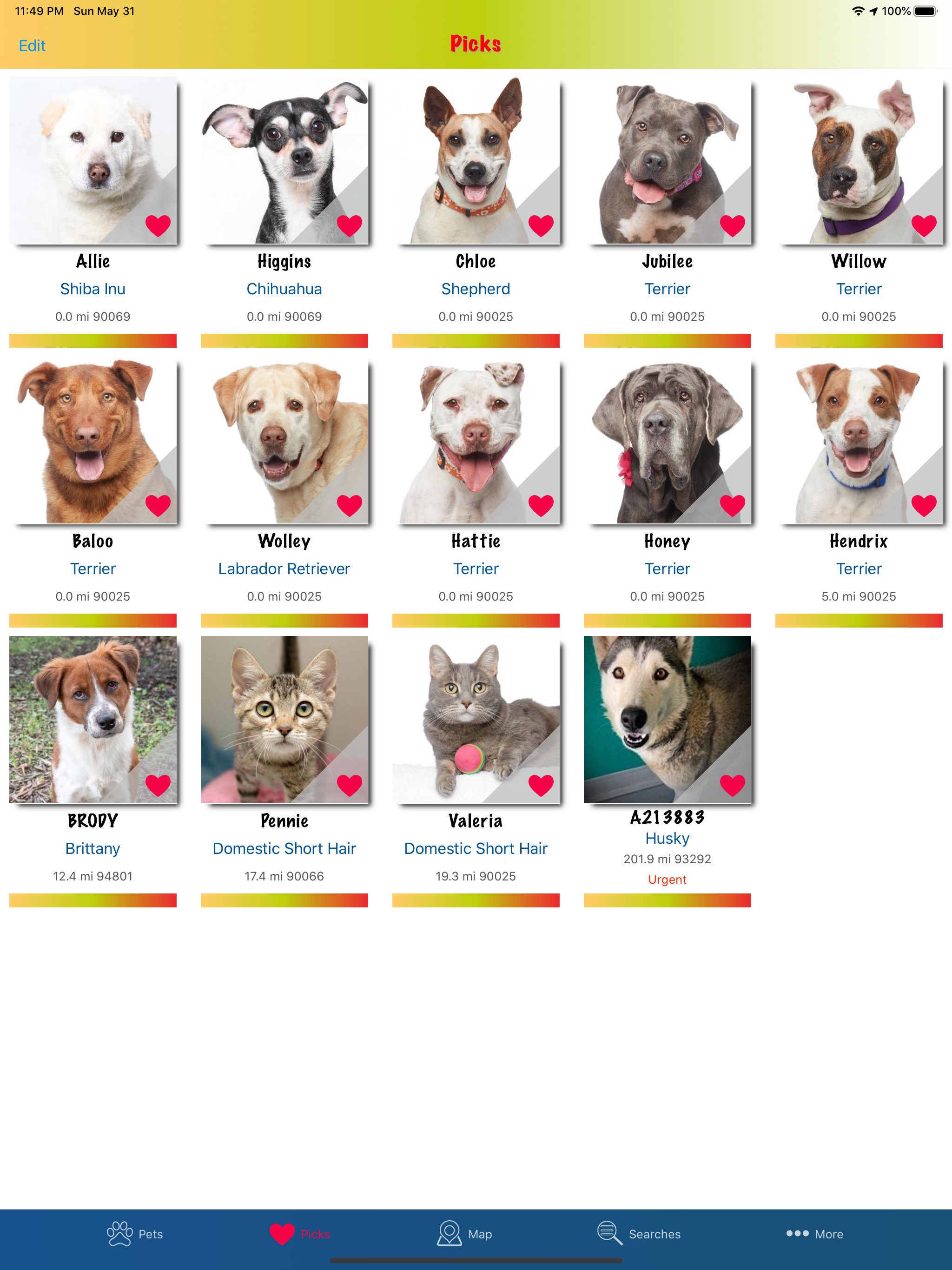 Pet Pick screenshot 13